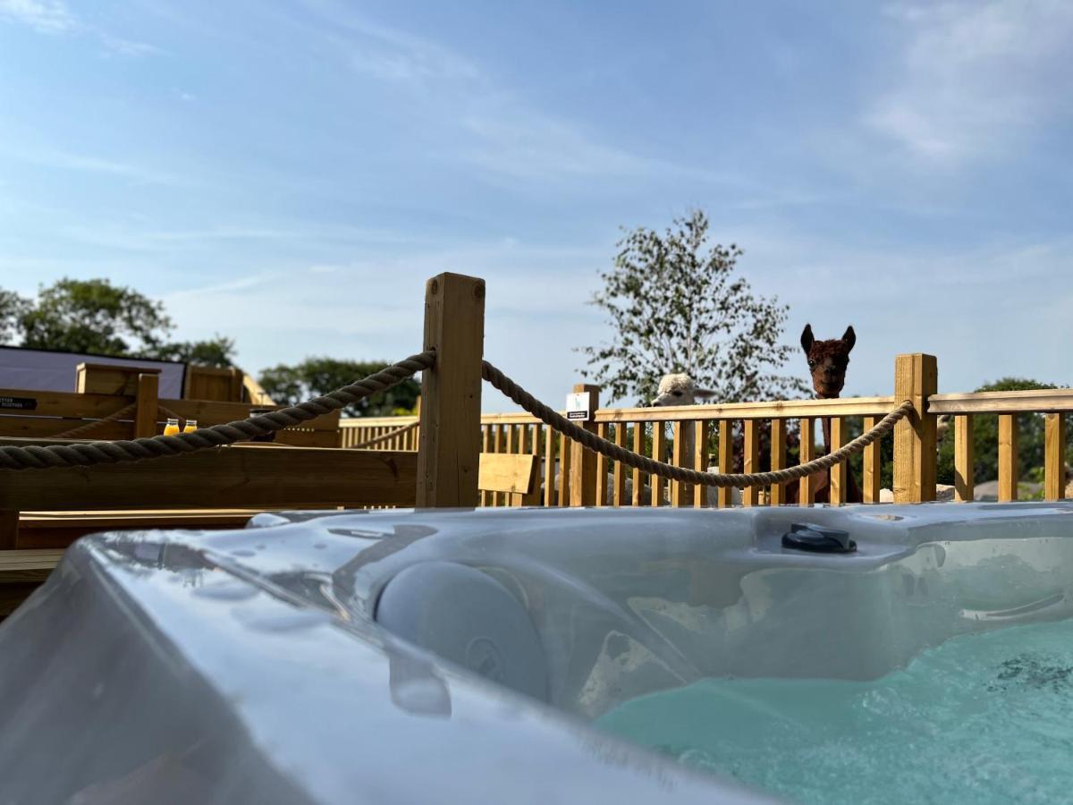 Jungle Book Safari Tent Tenby Ngoại thất bức ảnh