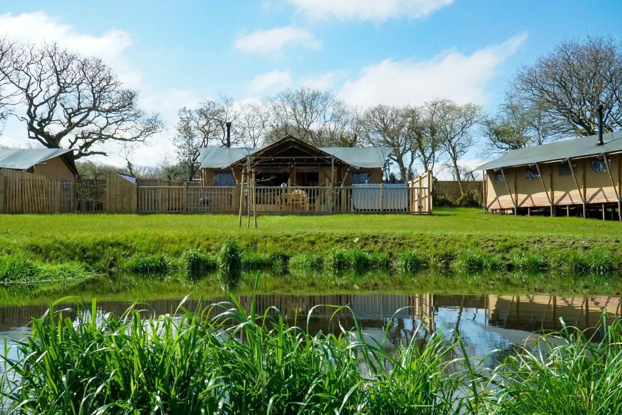 Jungle Book Safari Tent Tenby Ngoại thất bức ảnh