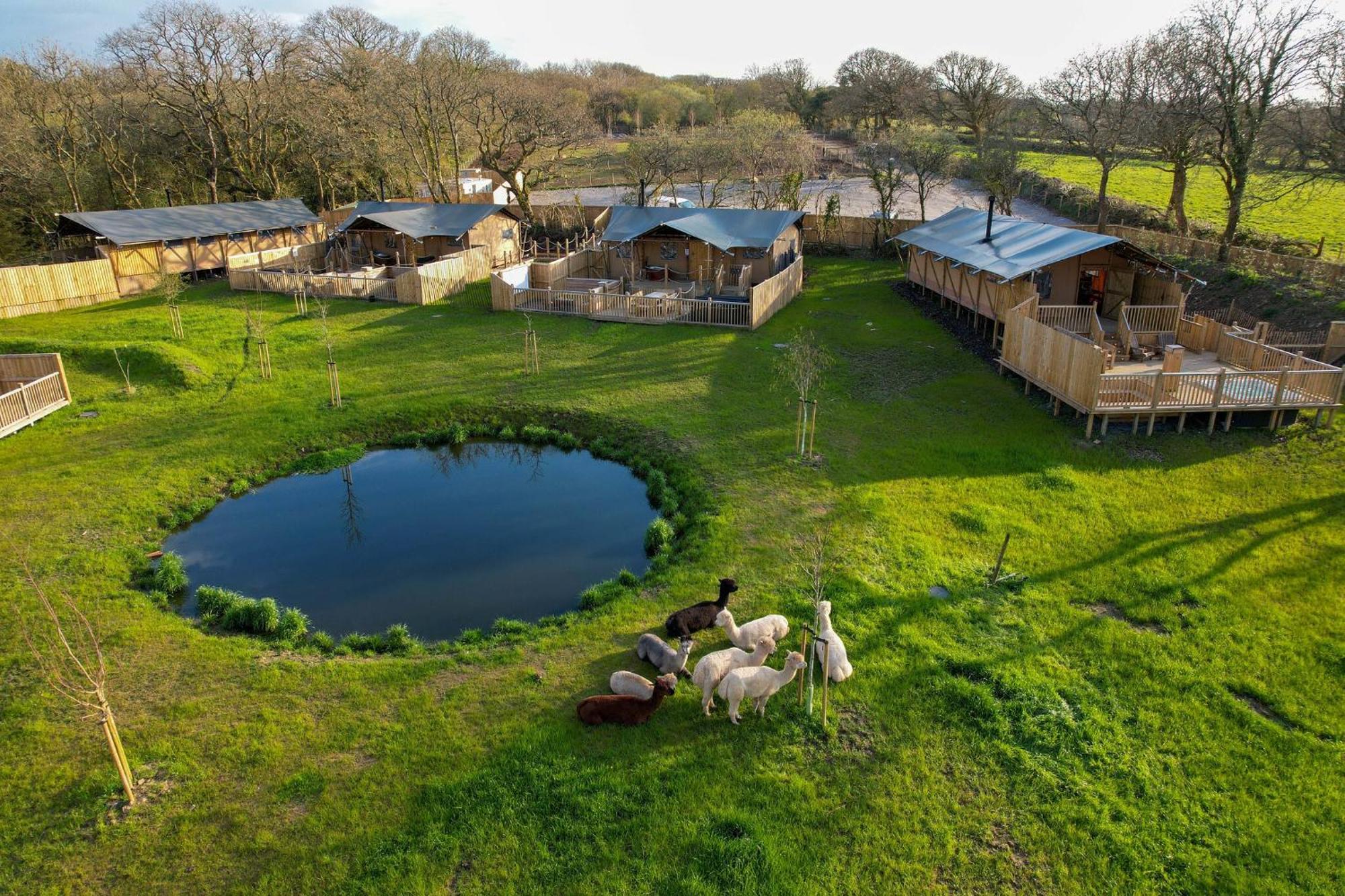 Jungle Book Safari Tent Tenby Ngoại thất bức ảnh