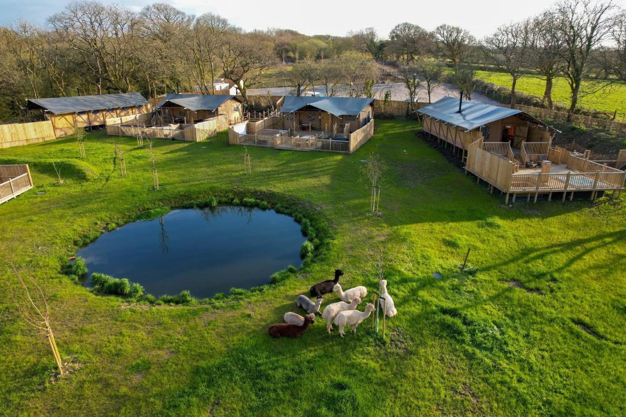 Jungle Book Safari Tent Tenby Ngoại thất bức ảnh